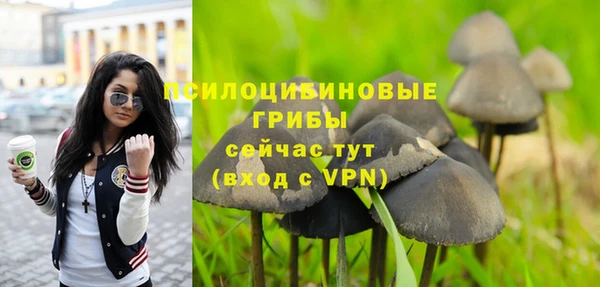 крисы Арсеньев