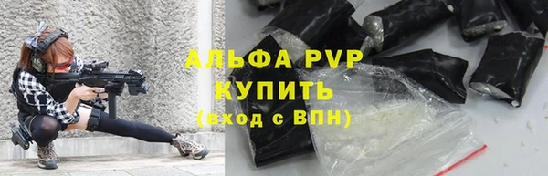 крисы Арсеньев