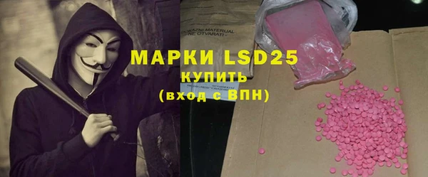 ГАЛЛЮЦИНОГЕННЫЕ ГРИБЫ Аркадак