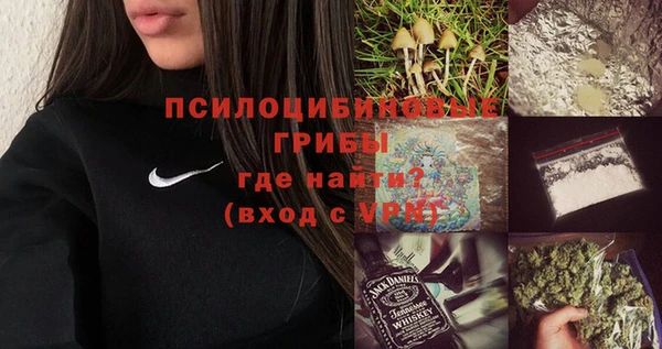ГАЛЛЮЦИНОГЕННЫЕ ГРИБЫ Аркадак