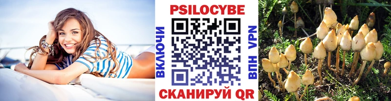 Псилоцибиновые грибы мухоморы  это официальный сайт  Закаменск  дарнет шоп 